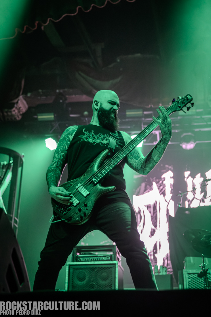 A bearded musician playing an electric bass guitar on stage, illuminated by green stage lights, with amplifiers and a graphic backdrop visible.