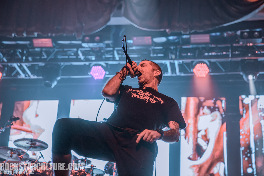 A vocalist performing energetically on stage with a microphone, surrounded by colorful stage lights and visual screens in the background.
