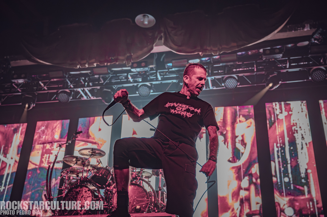 A vocalist energetically performing on stage with a microphone, wearing a black t-shirt and shorts, against a vibrant backdrop of colorful screens and stage lights.