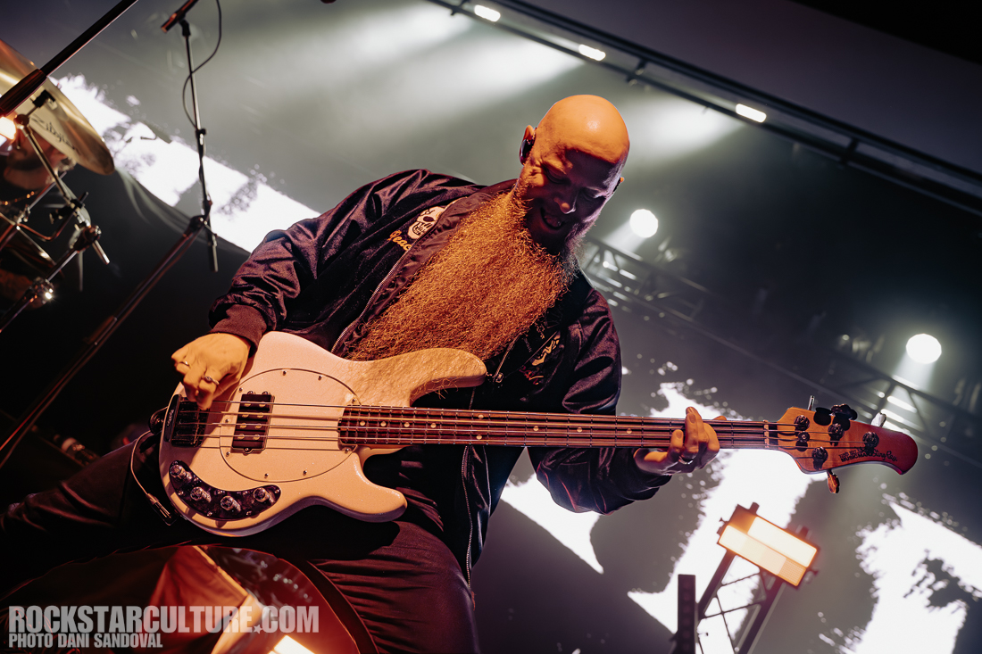 Close-up of a musician playing a white bass guitar on stage, sporting a long beard and a black jacket, with vibrant stage lighting in the background.